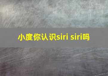 小度你认识siri siri吗